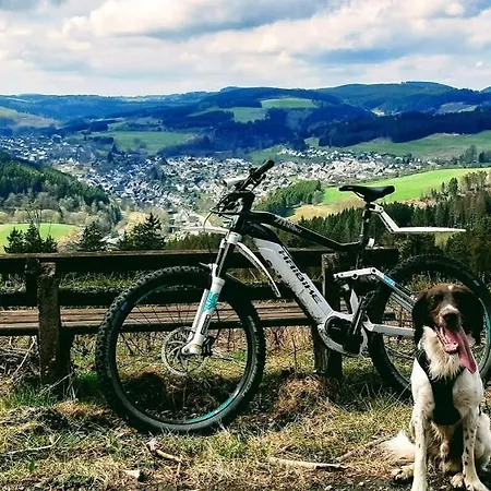 Hotel Haus Am Stein 3*