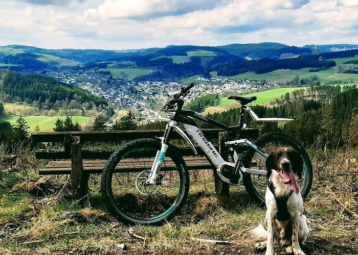 ホテル Haus Am Stein 3*